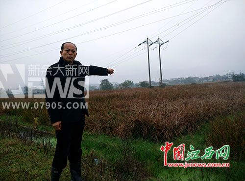 进贤一养猪场直排污水入溪 荸荠田水源氨氮含量超标28倍