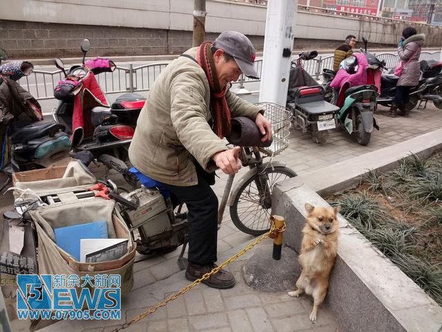 郑州一男子随身带爱犬送快递 小狗帮忙看车