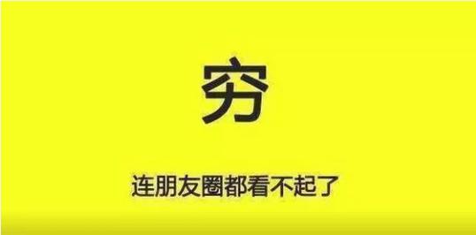 王心凌与耐威克老板飙戏竟遭萌狗无情抢镜！