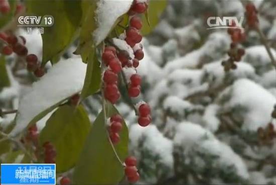 寒潮来袭雨雪纷纷 快看哪些地方要开启