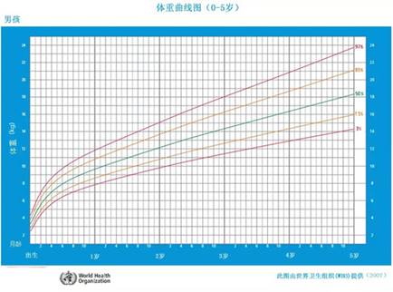 红透网络的小蛮殿下，无视黄晓明等男神只爱美食