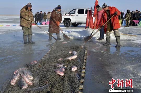 图为冬捕鱼现场。　呼努苏图摄