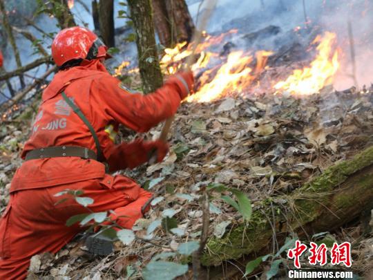 图为日前武警官兵在火场灭火施张帆摄