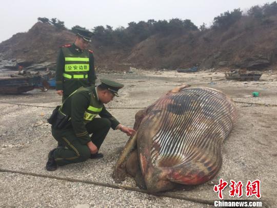 边防派出所民警得知情况后，立即赶到现场查看情况。　边宣 摄