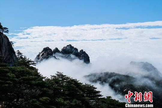 黄山景区现云海佛光奇观游客：此生有幸（组图）